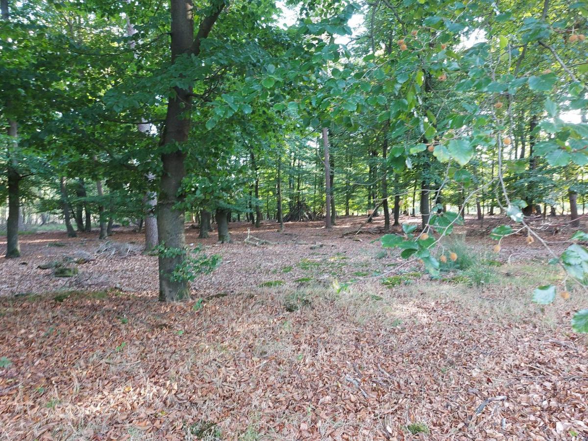Vila Chalet Wanama. Gelegen Op Het Vakantiepark Het Lierderholt Op De Veluwe. Beekbergen Exteriér fotografie