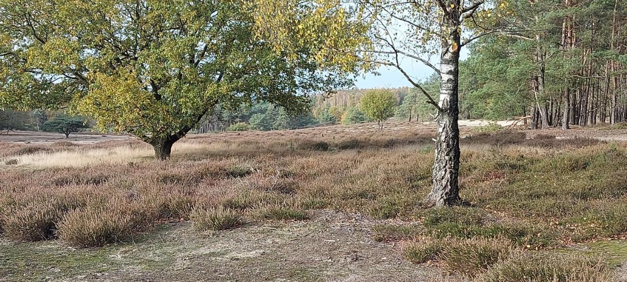 Vila Chalet Wanama. Gelegen Op Het Vakantiepark Het Lierderholt Op De Veluwe. Beekbergen Exteriér fotografie